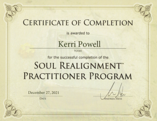 3 Soul Realignment Practitioner 